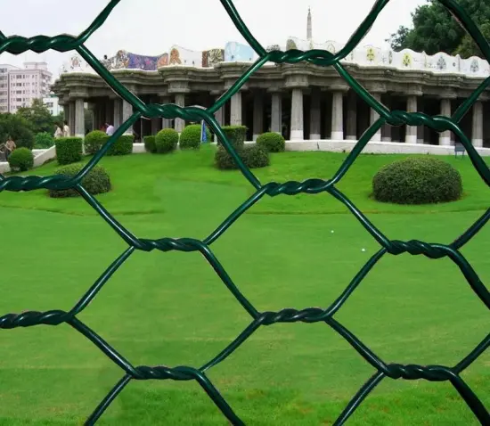 PVC Coated Hexagonal Chicken Wire Mesh