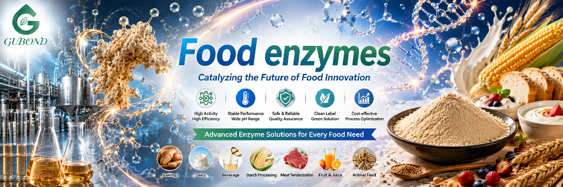 Food enzymes