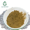 مستخلص Ligustrum Lucidum للمكملات الغذائية