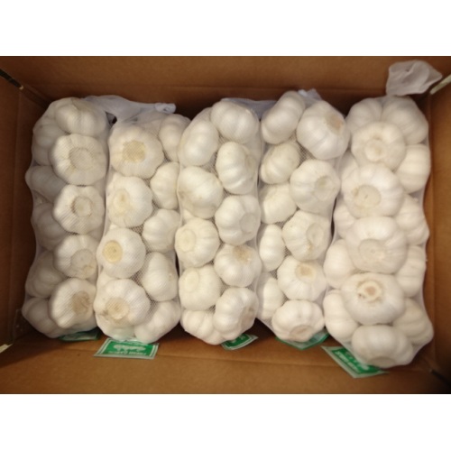 Bolsa Pure White Garlic 2020 1Kg