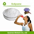 Cyanotis Arachnoidea Extract Beta-ecdysterone Powder 80%