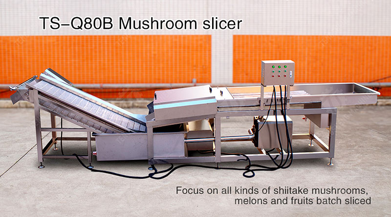 mushroom slicing machine