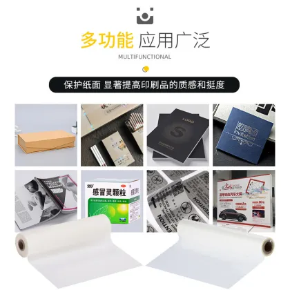 BOPP Heat Sealable/BOPP Laminating Film/BOPP Plastic Film