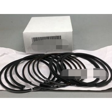 Born Auto Parts FICE3481 Piston Ring for Iveco Daily/Fiat Ducato 3.0 EURO 5