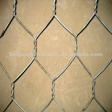 Hex Wire Netting/Hex Wire Net (BEIGUAN factory)