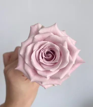 Manta Rose Single-Headed Flower Arrangement
