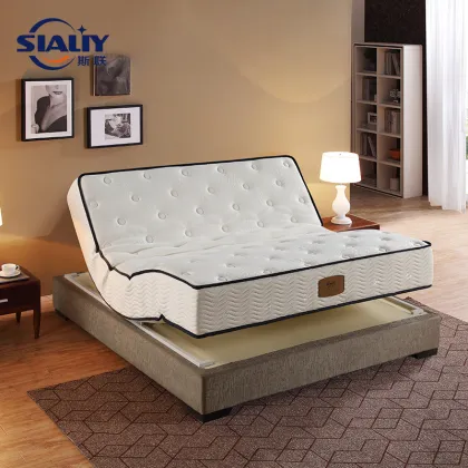 Future Premium Electric Adjustable Mattress