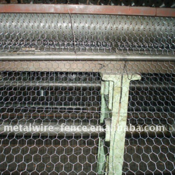 wire mesh heksagonal galvanis yang dicelup panas / kawat ayam