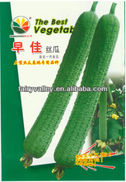 Chinese vegetable seeds:Towel gourd seeds Loofah seeds Extra long luffa seeds For Planting
