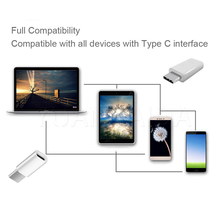 type-c to micro adapter