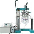 Emulsionante medio de vacío de laboratorio IME-X (1-100L)