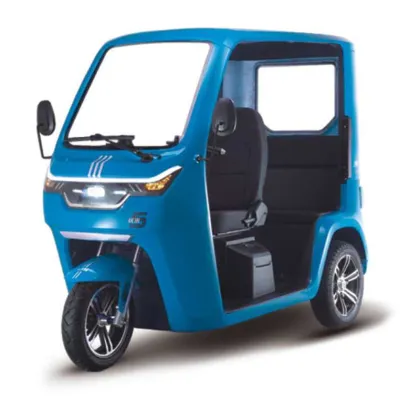 EEC Certificate Electric Tricycle Adult Cargo Passenger Three Wheels electric tuk tuk
