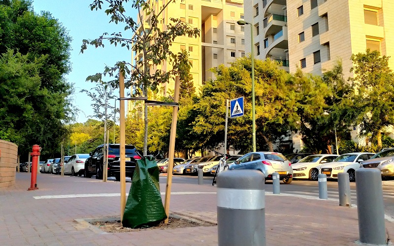 Tree Watering Bags