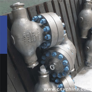 API Forged Steel Check Valve