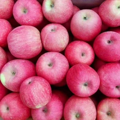 Organic Gala Apples from China, Gala Apple Wholesale