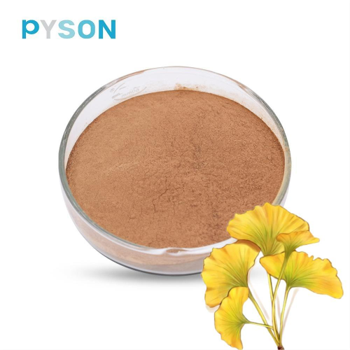 Total Ginkgo Flavones Glycoside≥24.0% By HPLC