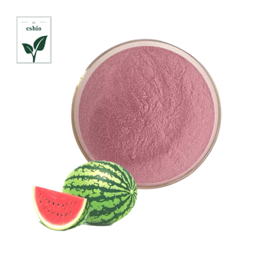 Fruit Juice Powder of Watermelon Extract Powder