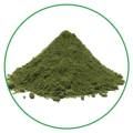 100% organic high quality dried celery powder