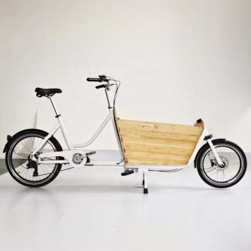 Lange afstand elektrische vrachtfiets met middelste motor, 250 W Trike voor volwassenen, waaronder Kids Box