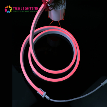 Multi-Color 5050 IP68 RGB/W Flex Neon Light