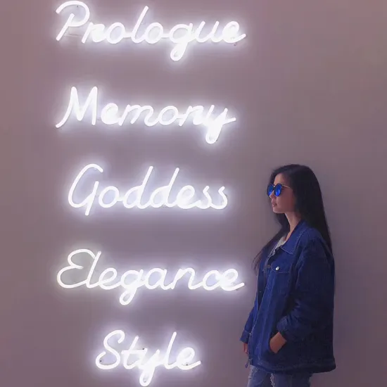 WALL CULTURE NEON SIGN