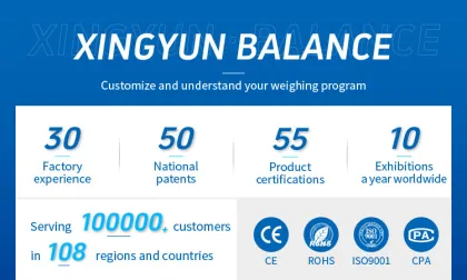 High Accuracy 0.0001g Lab Analytical Balance Scales
