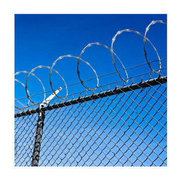 Galvanized Blade Wire - Razor Barbed Wire Mesh Hardware Supplies