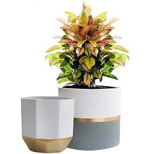 White Ceramic Flower Pot Garden Planters