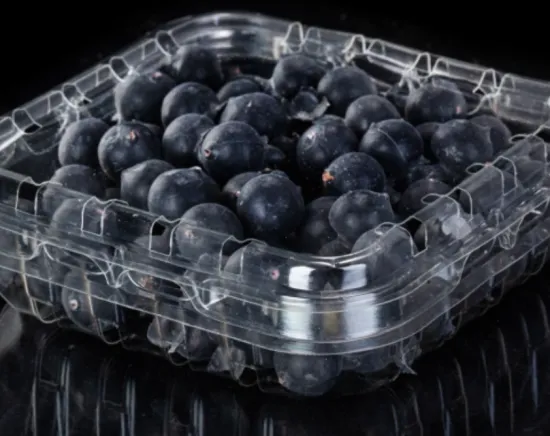 Disposable plastic container for blueberries