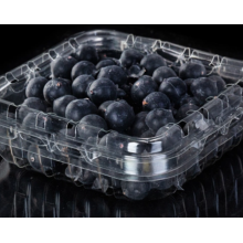 Disposable plastic container for blueberries