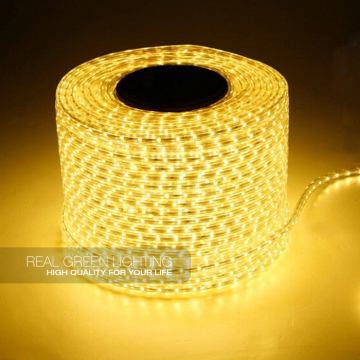 High Voltage 220V/240V 3528SMD LED Light Strip Wholesale