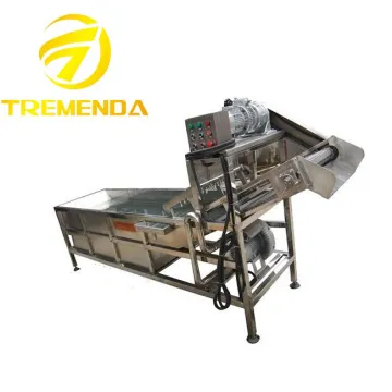 ozone salad vegetable washing machine fruit vegetable washing machine
