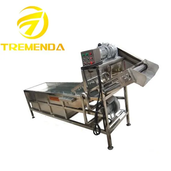 ozone salad vegetable washing machine fruit vegetable washing machine