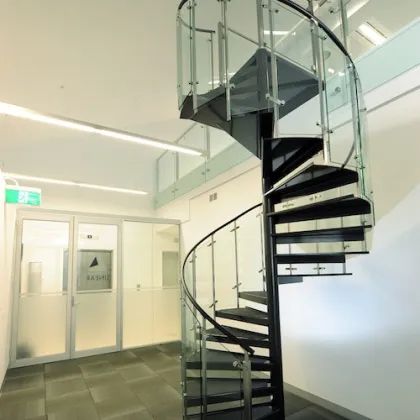 Customized Glass Spiral Stairs and Circular Stairs: Stainless Steel and Metal Iron Treads DBM