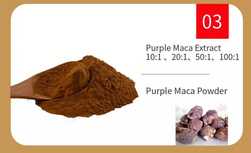 Male Health Maca Root Extract Powder