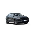 Changan Oushang X5 מותרות