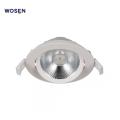 IP65 House LED COB Down Lights