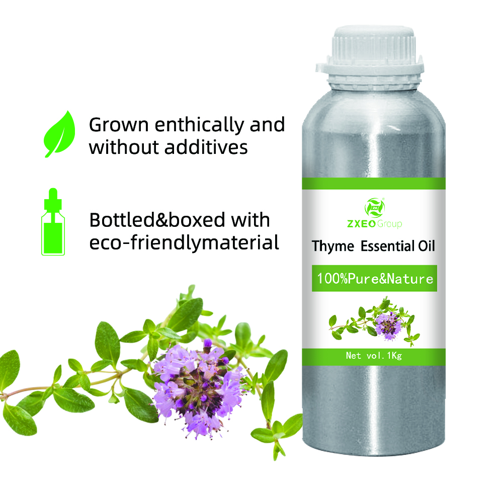 Pure Natural Organic Matter Plant Extract Thyme Essential Oil for Additives Bulk Wholesale Supply 1KG High quality Thyme Oil