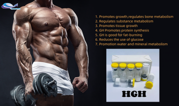 Muscle growth hgh HGH 191aa hgh 12629-01-5