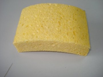 arch shape natural yellow sponge