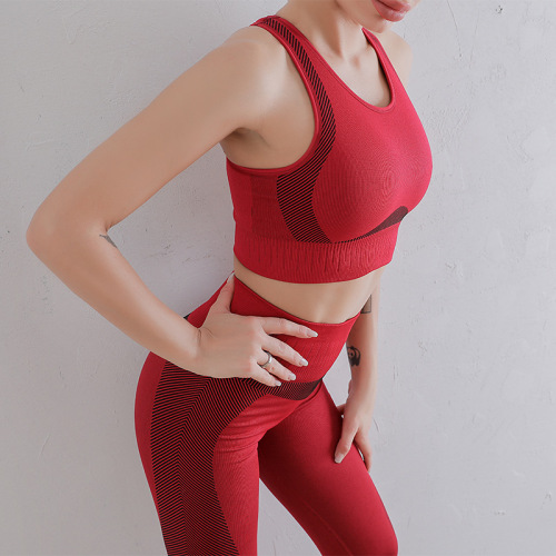 Conjunto de ginástica de sutiã esportivo feminino