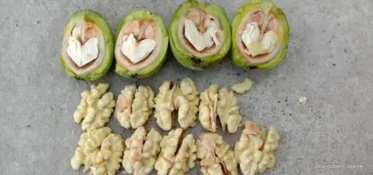 New Crop Walnut Without Shell  kernels Xinjiang Origin