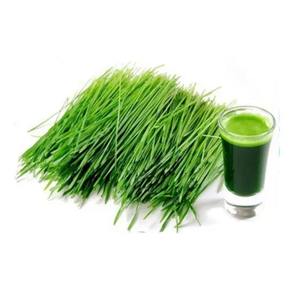 Organic Wheat Grass Juice Powder