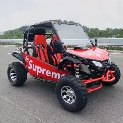 Christmas Gift: Gas Powered Snow Go Kart & Dune Buggy 200CC - Off Road Karting Desert Buggy Sale