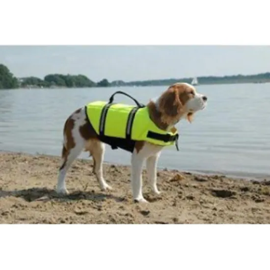Custom pattern dog life jacket
