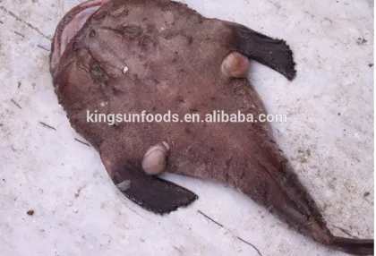 High Qualtiy Fresh Frozen Monkfish