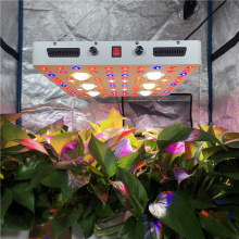 Cob Led Grow Light for Medical Plants