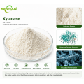 Xylanase Enzyme for Feed Efficiency Improvement