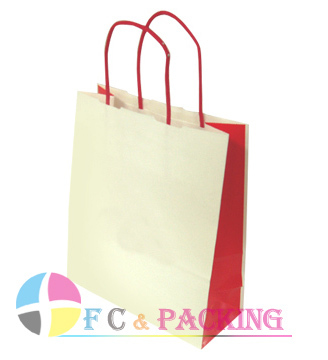 Shopping Paper Bag (FC-W-0143)