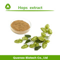 HUMULUS LUPULUS EXTRAIT HOPS Flavones 3% 5% 6%